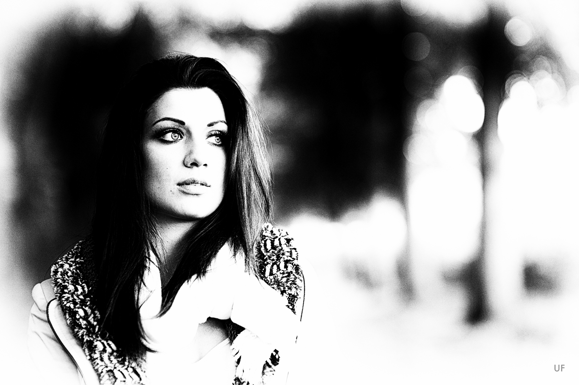 DSC 6179 Bearbeitet 2