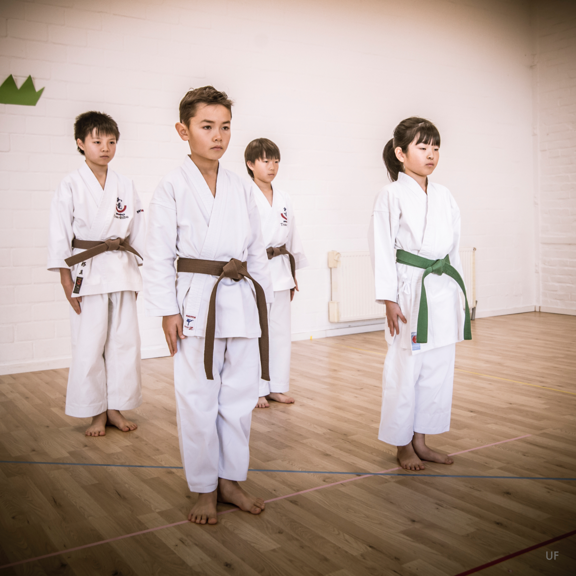 Kata. Komei Kanai. Karate.