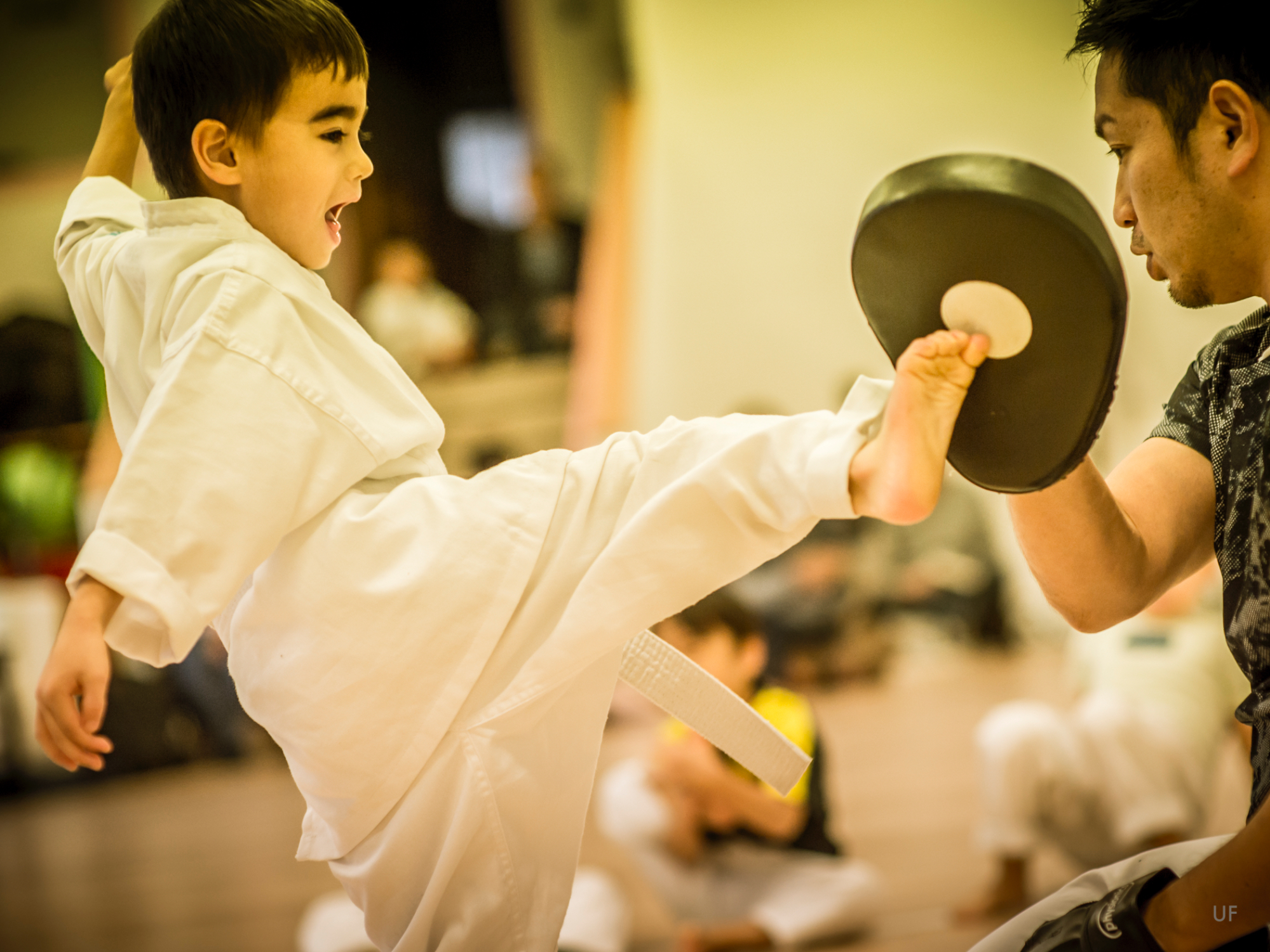  FRA5274